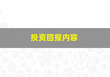 投资回报内容