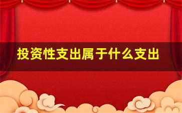 投资性支出属于什么支出