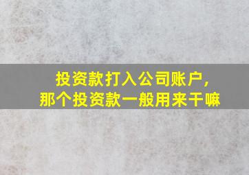 投资款打入公司账户,那个投资款一般用来干嘛