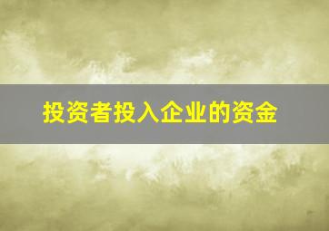 投资者投入企业的资金