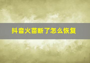 抖音火苗断了怎么恢复