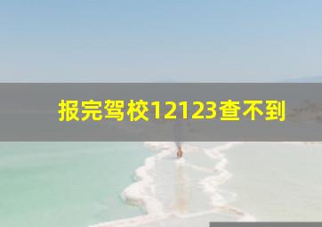 报完驾校12123查不到