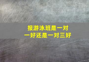 报游泳班是一对一好还是一对三好