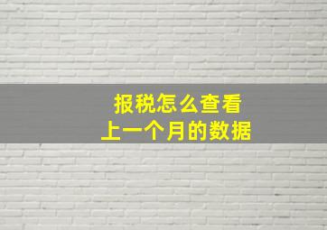 报税怎么查看上一个月的数据