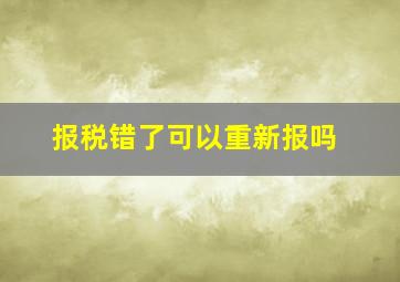 报税错了可以重新报吗