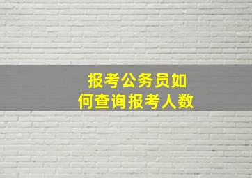 报考公务员如何查询报考人数