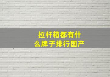 拉杆箱都有什么牌子排行国产