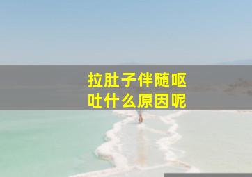 拉肚子伴随呕吐什么原因呢