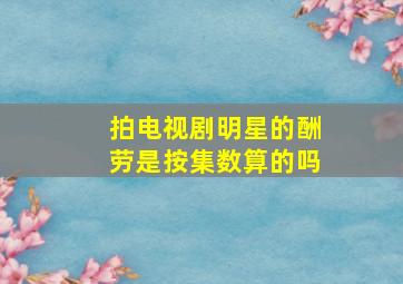 拍电视剧明星的酬劳是按集数算的吗