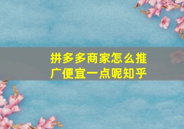 拼多多商家怎么推广便宜一点呢知乎