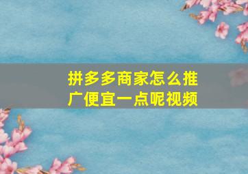 拼多多商家怎么推广便宜一点呢视频