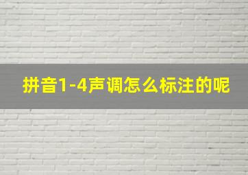 拼音1-4声调怎么标注的呢