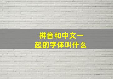 拼音和中文一起的字体叫什么