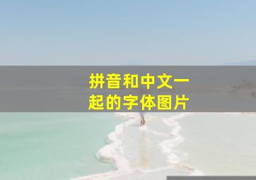 拼音和中文一起的字体图片