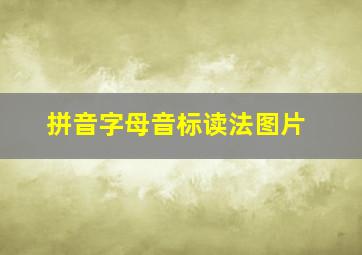 拼音字母音标读法图片