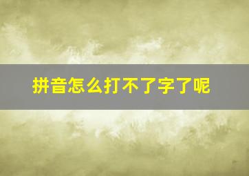 拼音怎么打不了字了呢