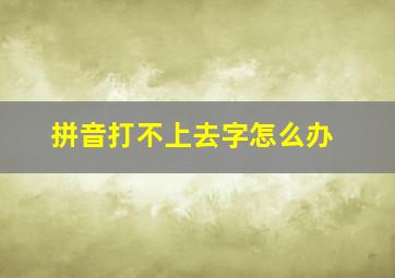 拼音打不上去字怎么办