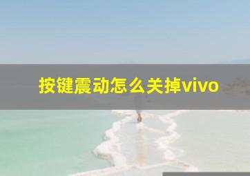 按键震动怎么关掉vivo