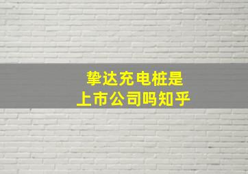 挚达充电桩是上市公司吗知乎