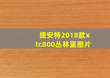 捷安特2018款xtc800丛林蓝图片