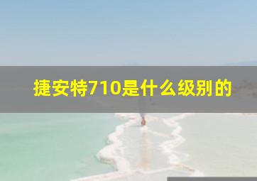 捷安特710是什么级别的