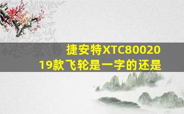 捷安特XTC8002019款飞轮是一字的还是