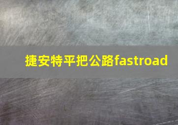 捷安特平把公路fastroad