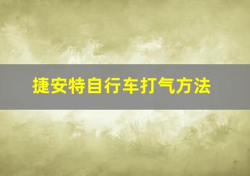 捷安特自行车打气方法