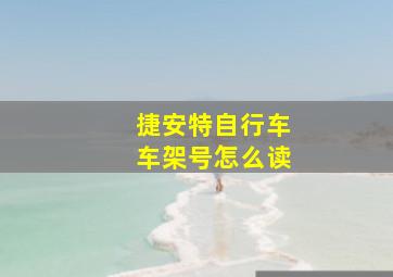 捷安特自行车车架号怎么读