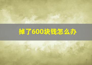 掉了600块钱怎么办