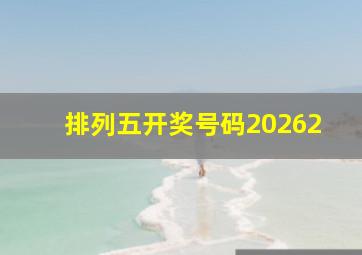 排列五开奖号码20262