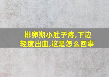 排卵期小肚子疼,下边轻度出血,这是怎么回事