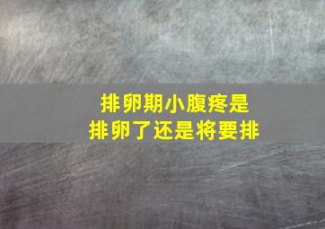 排卵期小腹疼是排卵了还是将要排