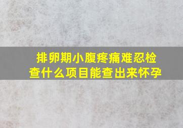 排卵期小腹疼痛难忍检查什么项目能查出来怀孕