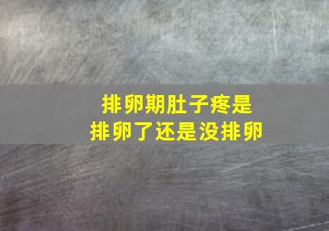 排卵期肚子疼是排卵了还是没排卵