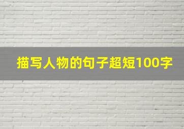 描写人物的句子超短100字