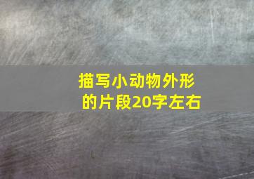 描写小动物外形的片段20字左右