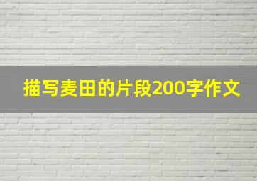 描写麦田的片段200字作文