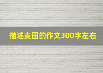 描述麦田的作文300字左右