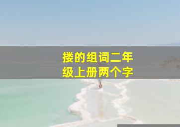 搂的组词二年级上册两个字