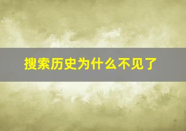 搜索历史为什么不见了