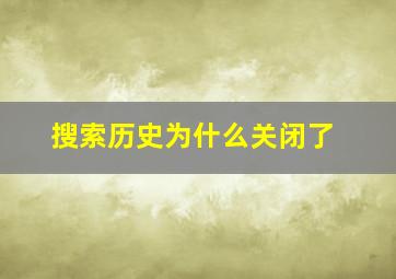 搜索历史为什么关闭了