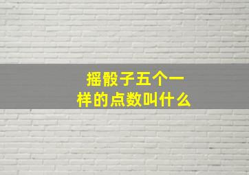 摇骰子五个一样的点数叫什么