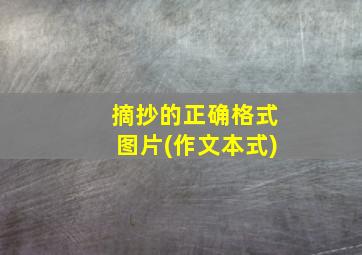 摘抄的正确格式图片(作文本式)