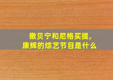 撒贝宁和尼格买提,康辉的综艺节目是什么