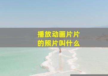 播放动画片片的照片叫什么