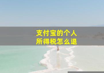 支付宝的个人所得税怎么退