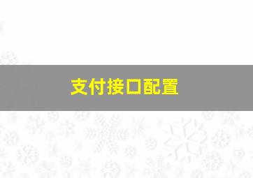 支付接口配置