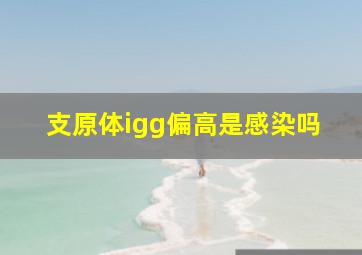 支原体igg偏高是感染吗