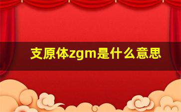 支原体zgm是什么意思